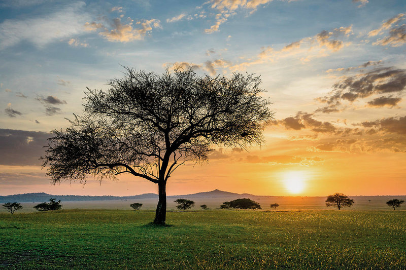 Sabora Tented Camp